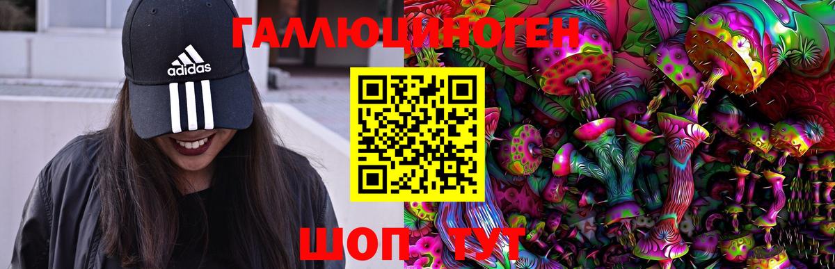 Галлюциногенные грибы Psilocybe Чапаевск