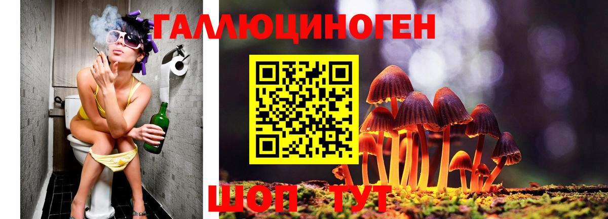 Чапаевск  где можно купить   Псилоцибиновые грибы MAGIC MUSHROOMS  Вход с VPN  Галлюциногенные грибы Magic Shrooms 